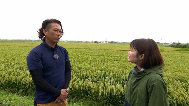 「久しぶりの雨で気温も下がって恵みの雨に」静岡県内に23日ぶりの雨 コメの生産者は歓迎も降り方は「ちょっと強い」【くるちゃんさんぽ】|TBS NEWS DIG
