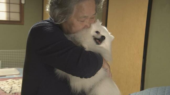 ポメラニアン２匹とインコ２羽、ペットも一緒に避難したけど「ロビーじゃ落ち着かない」休まらない日々続く　富山・氷見市|TBS NEWS DIG