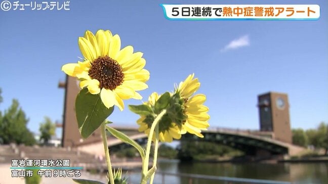 午前中から猛暑日のところも ５日連続で熱中症警戒アラート  危険な暑さに注意 富山|TBS NEWS DIG
