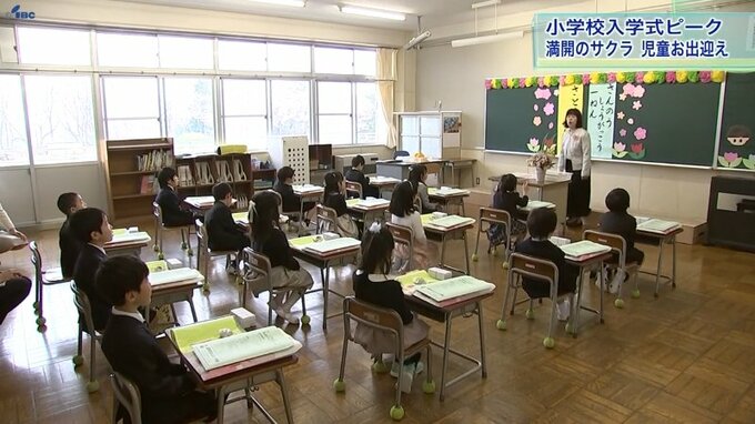盛岡は満開のサクラ　岩手県内小学校入学式のピーク　新一年生が初登校|TBS NEWS DIG