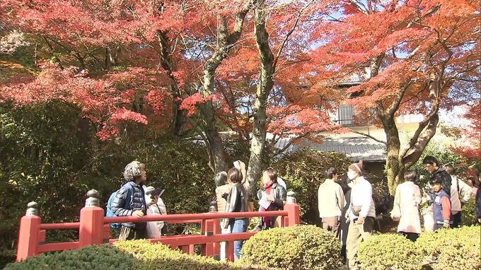 奈良の料亭「百楽荘」の紅葉が見ごろ　約１万坪の庭園が初の一般公開|TBS NEWS DIG