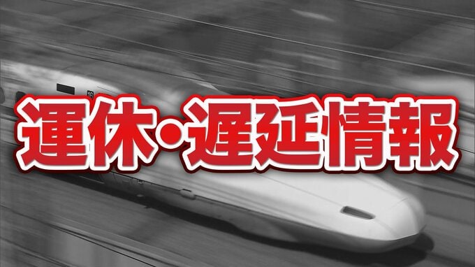 【速報】東海道新幹線の全線で運転見合わせ　浜松駅で線路内に人が立ち入り（午後6時49分現在）　|　MBSニュース | 関西の最新ニュースを分かりやすく。