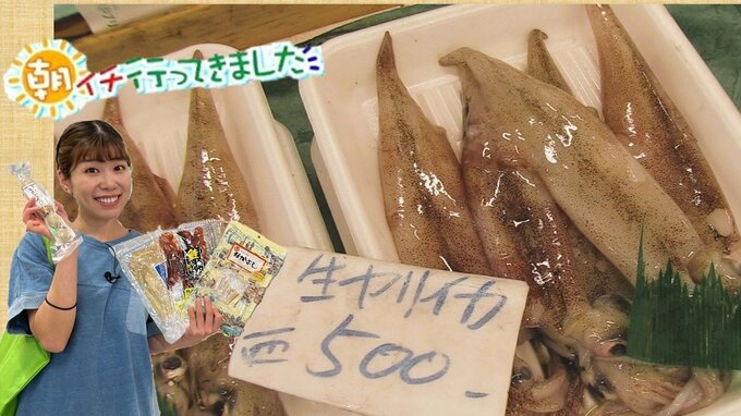 駅から徒歩10秒！17店舗の新鮮・豊富な海の幸でオリジナル朝食はイカが？“イカのまち”の本気の市場～朝イチ行ってきました～【八戸市魚菜小売市場】　|　青森のニュース│ATV NEWS│青森テレビ