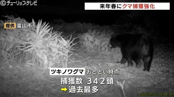 クマ対策強化へ 来年春、個体数管理のクマ捕獲を初導入 富山　|　富山のニュース｜天気・防災｜チューリップテレビ