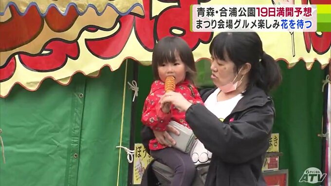 『花曇り』も桜の開花は加速中！　賑わう桜祭り・春まつり会場　「めっちゃ食べています！」花より団子もいいよね～　|　青森のニュース│ATV NEWS│青森テレビ