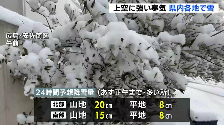 滑りそうだった。自転車や車は注意して」強い寒気で沿岸部でも雪や路面