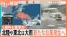 都心では晴れ間も北陸・東北で大雨　台風発生へ…週末にかけ列島の南へ進む見込み　シルバーウイーク直撃か【Nスタ解説】|TBS NEWS DIG
