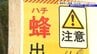 学校行事で鞍掛山で登山をしていた高校生と教員、下山中に蜂に刺され14人搬送　命に別状なし　岩手・滝沢市　|　IBC NEWS | IBC岩手放送