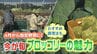 52年ぶり「指定野菜」に追加へ　消費伸びるブロッコリーの魅力　店頭での選び方・調理のポイントは　生産者は少雨の影響懸念も　|　福岡のニュース｜RKB NEWS｜RKB毎日放送