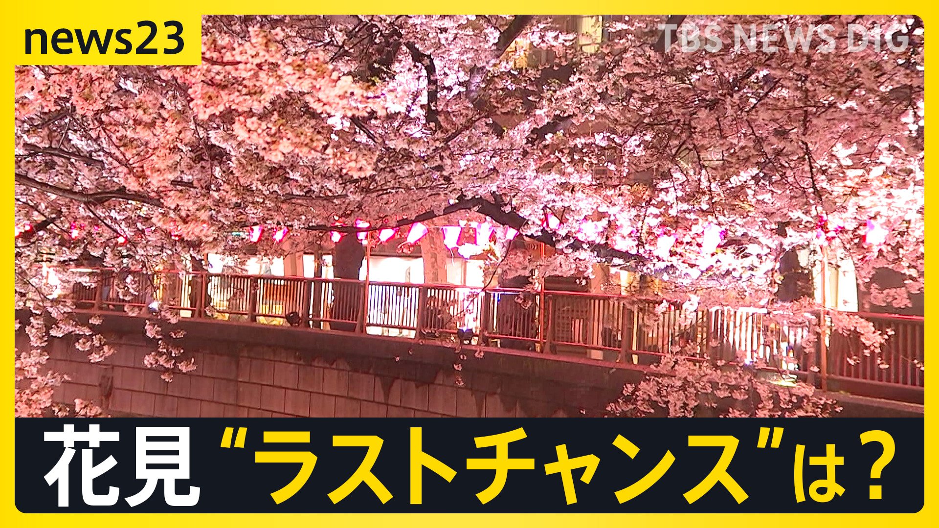 雨桜 各地で“花散らしの雨”…見ごろを迎えた桜の名所では「桜より酒」 1日も