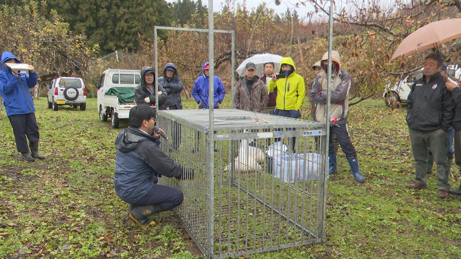 銃より、わなが安全」急増するイノシシ・ニホンジカの捕獲講習会 22