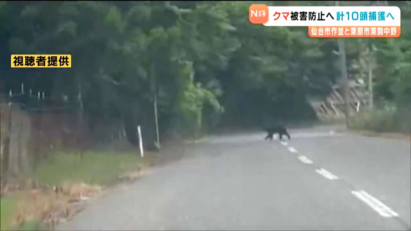 ツキノワグマ目撃相次ぐ中 10月から人里に近い地域で10頭捕獲へ 宮城