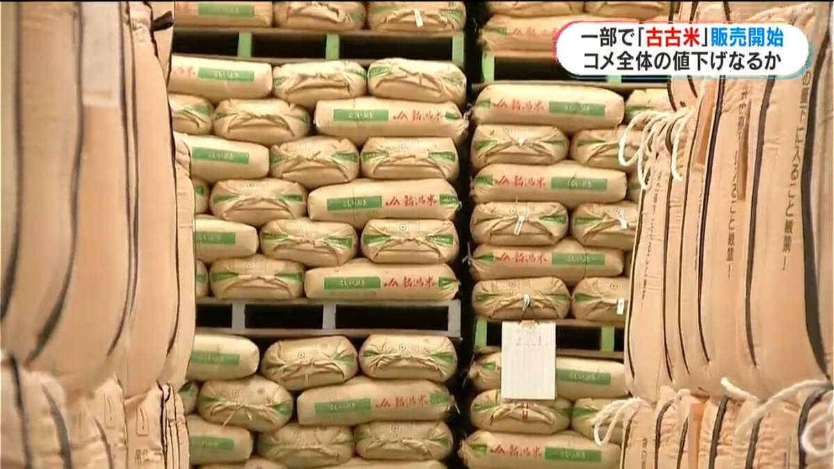 古古米の販売開始も鹿児島はまだ…「6月上旬」も販売日は決まらず | TBS NEWS DIG