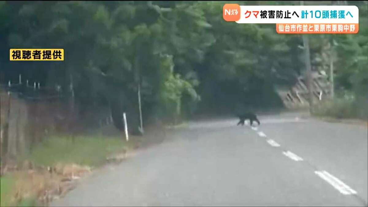 img_28f87449b2878cd41bc277713d