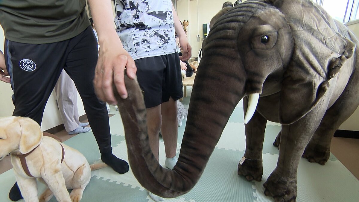 盲学校にリアルな動物模型を集めた動物園 手で触れることで動物たちの