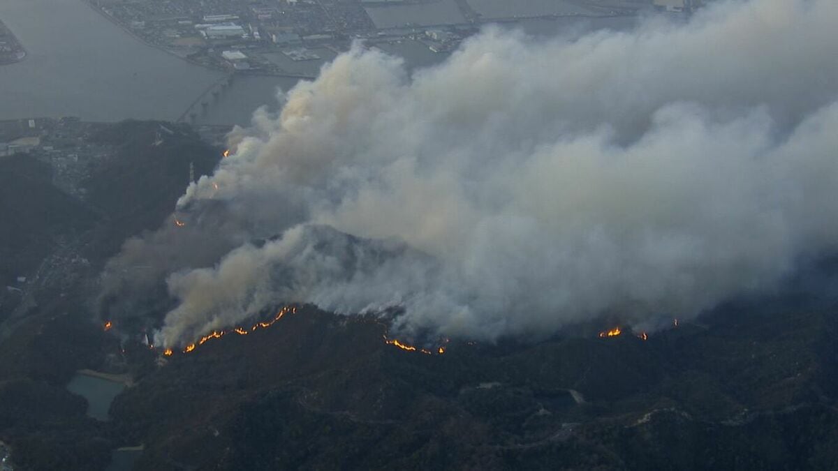 昨年3月に岡山市南区で発生した大規模山林火災で岡山市の男性を書類送検　伐採した木の枝などを焼却した際に火が燃え移った疑い