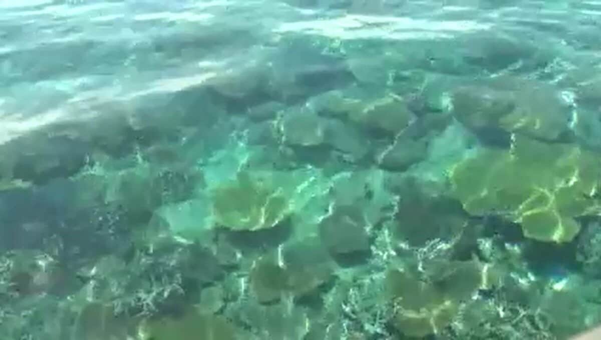 ”日本最大級”のサンゴ礁群「八重干瀬」でシュノーケリング中の男性が死亡　沖縄・宮古島市沖