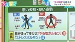 「走れなくても歩くことは簡単」運動不足でも楽しめる!医師が勧めるウォーキング【ひるおび】|TBS NEWS DIG
