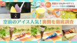 水泳教室に棒アイスの自販機が多いのはなぜ?定番アイスのヒットの秘訣を徹底調査|TBS NEWS DIG