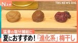 “中華風”に“果汁漬け”まで…食欲刺激!猛暑の塩分補給に「進化系」梅干し 簡単“コンロキャンセル”レシピも【Nスタ】|TBS NEWS DIG