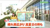 「大気の状態は安定、にわか雨はほとんどない見込み。熱中症には注意を」tbc気象台 1日 | 宮城のニュース│tbc NEWS│tbc東北放送