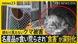 夜の動物園に忍び込むクマ 一度ならず二度までも…山形では名産品が食い荒らされ“食害”が深刻化【news23】|TBS NEWS DIG