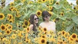 「ちょっとでも外へ出ると汗が噴き出る」厳しい残暑　甲府は3日連続で猛暑日　27日からは蒸し暑い日が続く見込み　山梨　|　山梨のニュース | ＵＴＹテレビ山梨