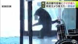 防犯カメラが捉えた一部始終「県外でよく見るニュースはひとごとではない…」走ってきた『子グマ』が西目屋村役場に侵入　相次ぐ出没情報　青森県は2024年の3倍の2460件　専門家も警鐘【熊災】|TBS NEWS DIG