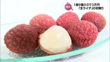 1箱9個入りが3万円の過去最高値 宮崎県産「生ライチ」 今シーズン初競り | MRTニュース | MRT宮崎放送