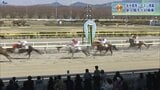 新人ジョッキーもデビュー 岩手競馬 入場制限無してシーズン開幕 水沢競馬場|TBS NEWS DIG