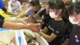 「魚は怖かったけど…」 “若手漁師”が小学校で出前授業 | 愛媛のニュース - Nスタえひめ|あいテレビは6チャンネル