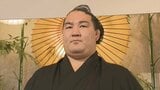 大相撲九州場所2日目 甲府市出身・竜電の取組み結果 | 山梨のニュース | UTYテレビ山梨