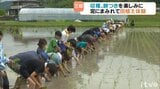 秋の収穫と餅つきを楽しみに…小学生が昔ながらの手作業で田植えに挑戦　|　愛媛のニュース - Nスタえひめ｜あいテレビは6チャンネル