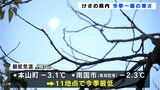 「こんなに寒いなんて」 15日朝の高知県内 今季一番の寒さ 高知市で初霜・初氷を観測 | 高知のニュース・天気|KUTV NEWS | KUTVテレビ高知