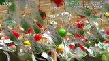 「音を聞くだけで涼しくさわやかに」5000個の風鈴と“スカイアンブレラ” 五泉八幡宮「七夕風鈴祭☆天の川巡り」新潟県|TBS NEWS DIG