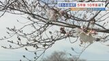 熊本地震から10年　2度の震度7を経験した益城町の今　変わりゆく益城町と変わらぬ人々の営み|TBS NEWS DIG