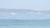 「海上に人が浮いている」成人とみられる女性の遺体見つかる 北九州|TBS NEWS DIG