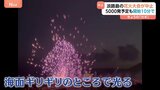 「明らかに爆発した」開始10分で中止に…淡路の花火大会で爆発、5000発打ち上げ予定も|TBS NEWS DIG