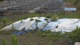 馬毛島基地の隊員宿舎建設地　廃棄物混じりの土処理費は1000万円近く　地元・西之表市が負担方針　鹿児島　|　鹿児島のニュース｜MBC NEWS｜南日本放送