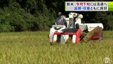 コメの品薄解消の“鍵”となる「新米」農家は「JAグループの概算金」の動向を注視も「一気に値上がりするのはあんまり…」青森県産は9月下旬には流通へ|TBS NEWS DIG