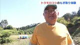 「小動物にやられんかったのが一番うれしい」広島･三次市甲奴町で “とうもろこし収穫祭”　寒暖差で甘み強く　20年以上続く地域振興　|　RCC NEWS | 広島ニュース | RCC中国放送