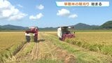 黄金色の稲穂が頭を垂れる　ひと足早く「早期米」の収穫はじまる　熊本・天草　|　熊本のニュース｜RKK NEWS｜RKK熊本放送