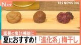 “中華風”に“果汁漬け”まで…食欲刺激！猛暑の塩分補給に「進化系」梅干し　簡単“コンロキャンセル”レシピも【Nスタ】|TBS NEWS DIG