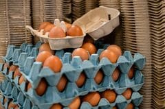 英インフレ率、9月は予想外の横ばい－年内利下げ観測強まる| TBS CROSS DIG with Bloomberg