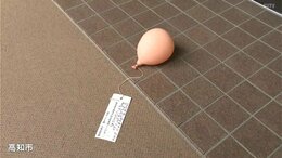 部屋の前に“手紙付きの風船”「おてがみください」差出人に連絡してみると…290キロ旅した“空飛ぶ手紙”|TBS NEWS DIG