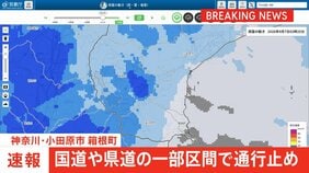 神奈川県の国道と県道の一部で通行止め　大雨による影響　規制解除のめど立たず|TBS NEWS DIG