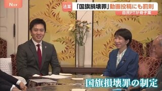 どうすれば罰則？自民が国旗損壊罪の骨子案発表 SNS投稿も対象に　拘禁刑または罰金も　党内からは「過剰規制」の声| TBS CROSS DIG with Bloomberg