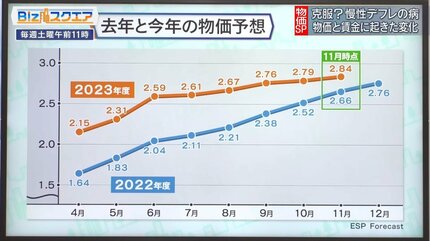 デフレ下の賃金変動（新品、送料込） 慢性デフレ病克服か？～物価と賃金に起きた変化～【Bizスクエア