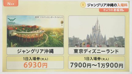 ジャングリア沖縄の入場料は…？超緻密な数学マーケティングに基づく 