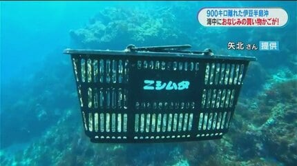 静岡の海中漂う「買い物かご」になぜか鹿児島騒然 発見ダイバー